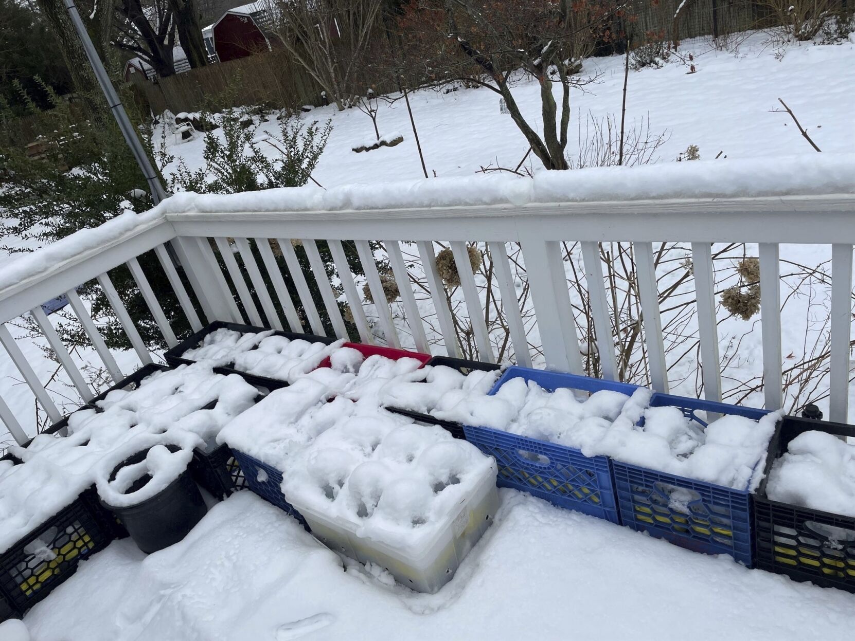 Gardening Winter Sowing
